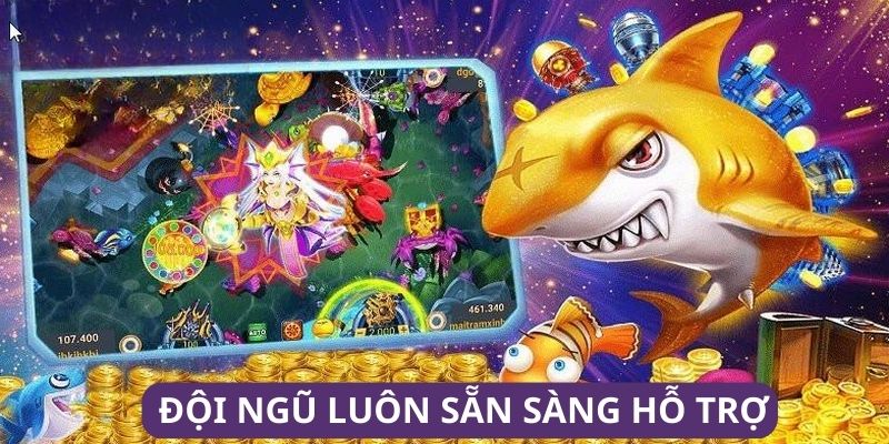 Đội ngũ luôn sẵn sàng hỗ trợ nếu có bất kỳ lỗi nào