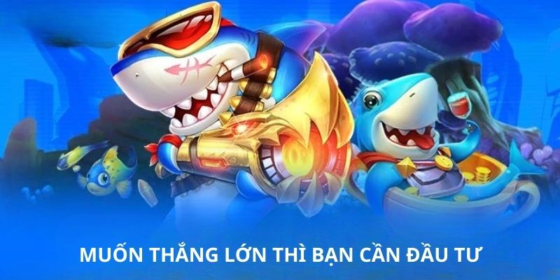 Muốn thắng lớn thì bạn cần đầu tư