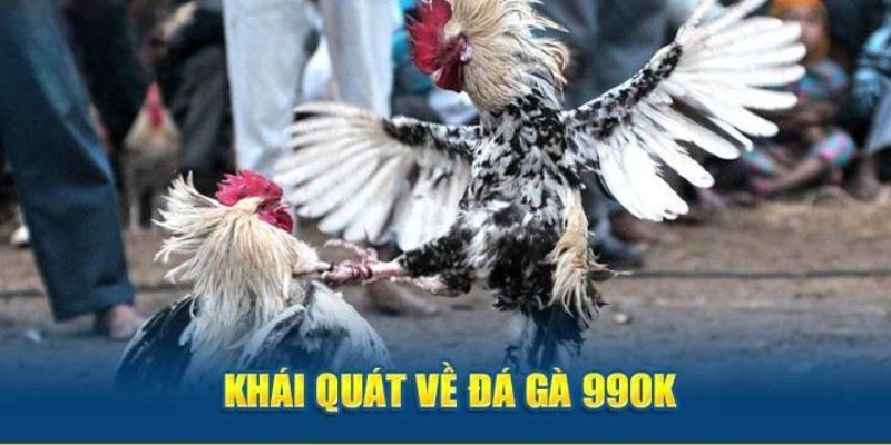 Giới thiệu tổng quan về sân chơi đá gà 99ok