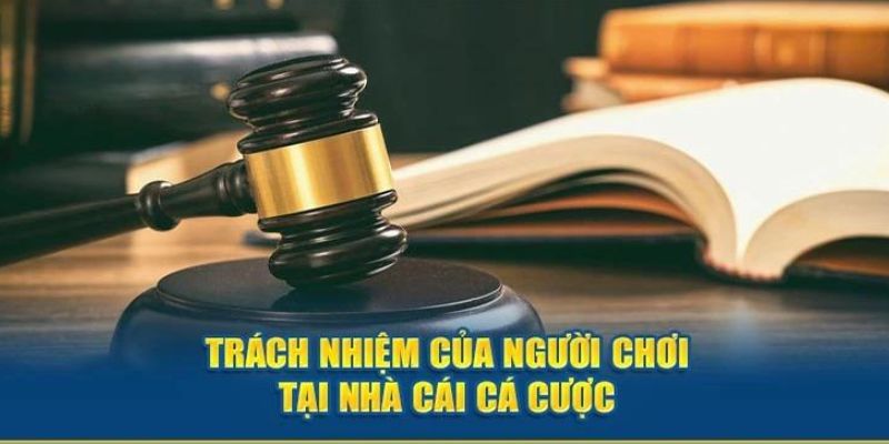 Người dùng cần tuân thủ đầy đủ điều khoản dịch vụ của nền tảng