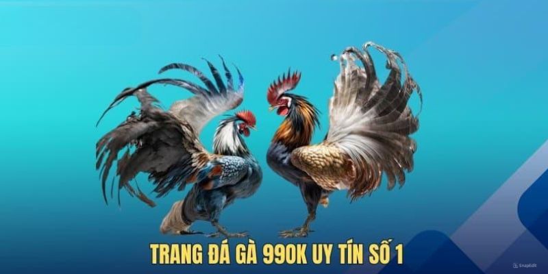 Những ưu điểm được đánh giá cao tại đá gà 99ok